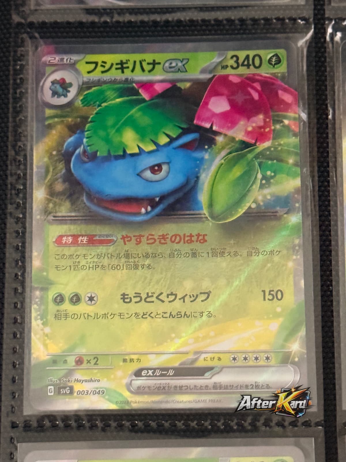 Japanese Venusaur ex — #003/049